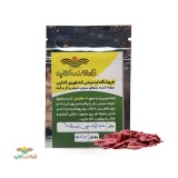 عکس کوچک بذر خیار زمینی هانا خانگی 4