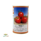 عکس کوچک بذر گوجه فرنگی هیبرید تیوا F1