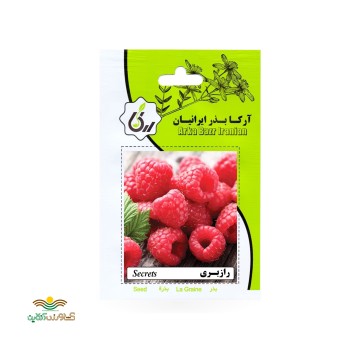 بذر خانگی رازبری آرکا بذر ایرانیان