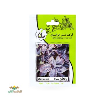 بذر خانگی ریحان سیاه آرکا بذر ایرانیان