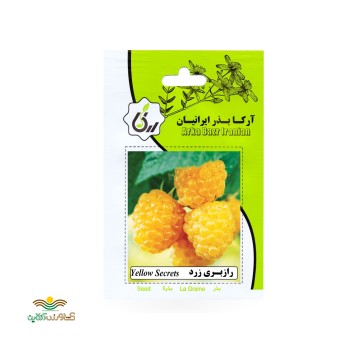بذر خانگی رازبری زرد آرکا بذر ایرانیان