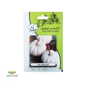 بذر خانگی کدو عروسکی سفید آرکا بذر ایرانیان