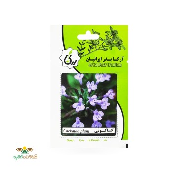بذرخانگی کاکوتی آرکا بذر ایرانیان