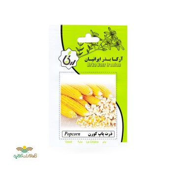 بذر خانگی ذرت پاپ کورن آرکا بذر ایرانیان