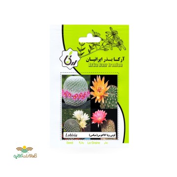 بذر خانگی لوبی ویا کاکتوس آرکا بذر ایرانیان