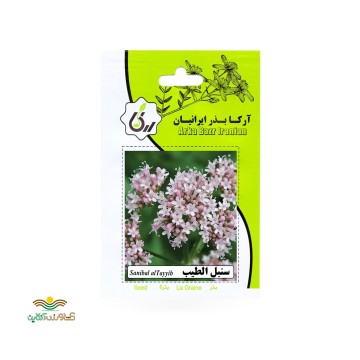 بذر خانگی سنبل الطیب آرکا بذر ایرانیان