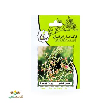 بذر خانگی خارشتر آرکا بذر ایرانیان