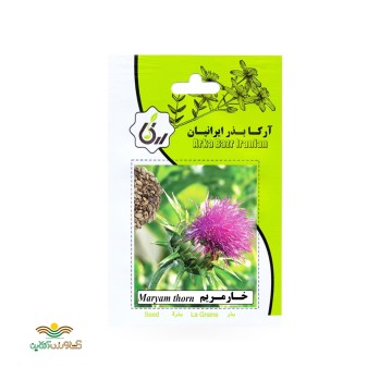بذر خانگی خار مریم آرکا بذر ایرانیان