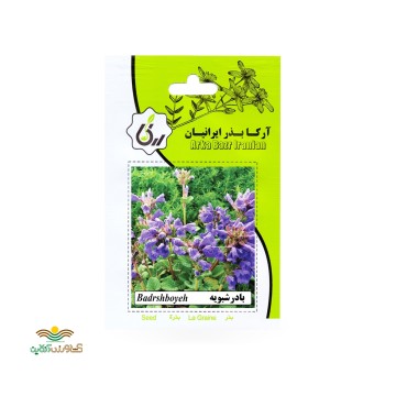 بذرخانگی بادرشبویه آرکا بذر ایرانیان