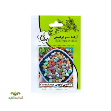 بذر خانگی کاکتوس لیتوپس آرکا بذر ایرانیان
