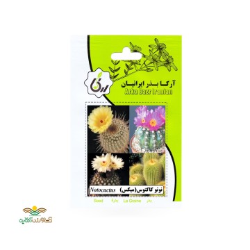 بذر خانگی نوتو کاکتوس آرکا بذر ایرانیان
