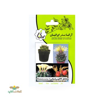 بذر خانگی کاکتوس هاماتو آرکا بذر ایرانیان