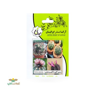 بذر خانگی ژیمینو کالیوم کاکتوس آرکا بذر ایرانیان