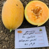 عکس کوچک بذر خربزه آناناسی ناسکو آمریکا هیبرید و اف یک 1000 عددی 2