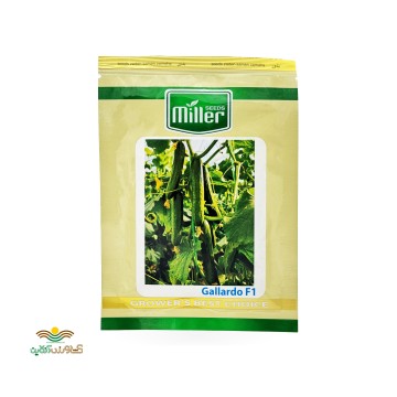 بذر خیار گلخانه ای پرگل گالاردو