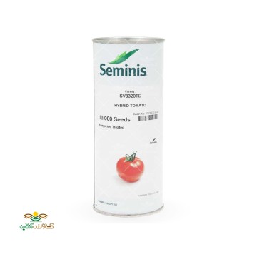 بذر گوجه فرنگی 8320 سمینیس شرکت فلات