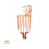 عکس کوچک سبد میوه چین