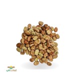 عکس کوچک بذر باقلا هیستال 2