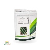 عکس کوچک بذر خیار ویکتور سمینیس