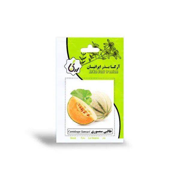 بذر طالبی سمسوری آرکا بذر ایرانیان