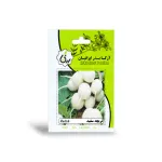 بذر تربچه سفید آرکا بذر ایرانیان 2