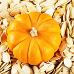 بذر کدو پوست کاغذی آرکا بذر ایرانیان 0