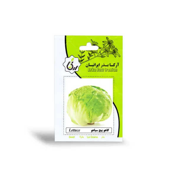 بذر کاهو پیچ سیاهو آرکا بذر ایرانیان