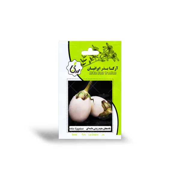 بذر بادمجان سفید زینتی دلمه ای آرکا بذر ایرانیان