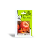 بذر کدو هالووین آرکا بذر ایرانیان 0