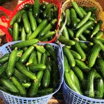 بذر خیار گلخانه ای تک گل تالیسیا نانهمز 500 عددی 3