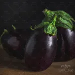 بذر بادمجان دلمه ای کیان بذر خانگی 0