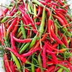 بذر فلفل قلمی تند کیان بذر 0
