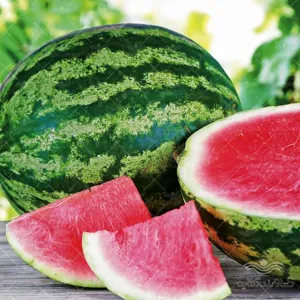 بذر هندوانه کریمسون وانیاسید