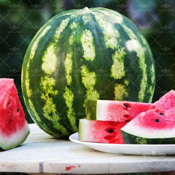 هندوانه کریمسون کیان سید