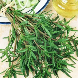 بذر سبزی مرزه