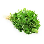 بذر سبزی شنبلیله کیان سید 0