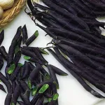 لوبیا مشکی ولور 10 عددی 0