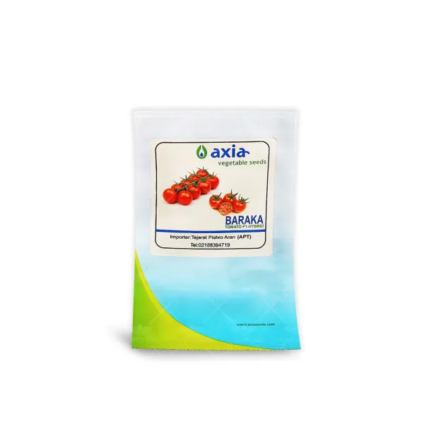 بذر گوجه فرنگی چری گرد گلخانه ای خوشه ای باراکا