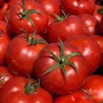 بذر گوجه فرنگی گرد زودرس و پربار نیلاروز 5000 عددی 2