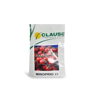 بذر گوجه چری گیلاسی خوشه ای گلخانه ای کلوز فرانسه 1000 عددی