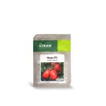 بذر گوجه فرنگی زودرس هیرو 5000 عددی 0