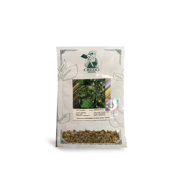 بذر خیار گلخانه ای برلیان پرگل و 500 عددی مشابه ناگین