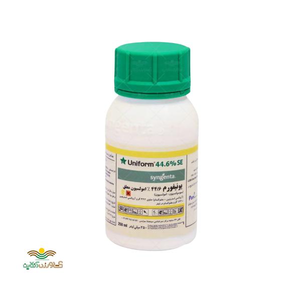 قارچ کش یونیفرم سینجنتا