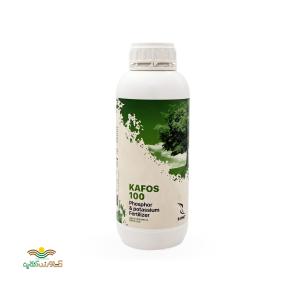 کود کافوس پتاسیم فسفر 100 بارافشان یک لیتری