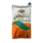بذر ذرت هیبرید سینگل کراس KSC 703 دشت مغان 22 کیلویی 0