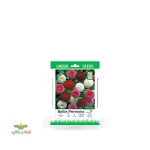 بذر خانگی گل مینا چمنی سینا 0