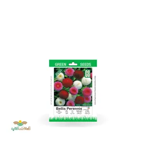 بذر خانگی گل مینا چمنی سینا