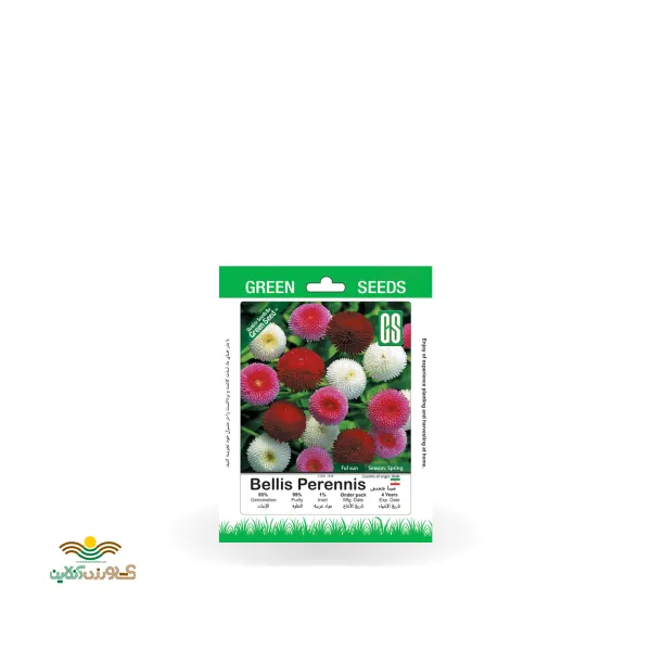 بذر خانگی گل مینا چمنی سینا
