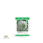 بذر خانگی گل عسلی سفید سینا 0