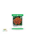 بذر خانگی گل رعنا زیبا سینا 0